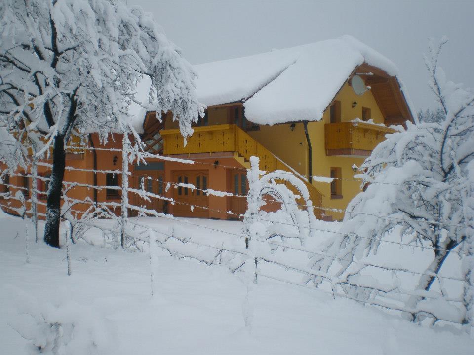 Apartment Beli Zajec Mozirje Exterior foto